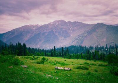 Kashmir