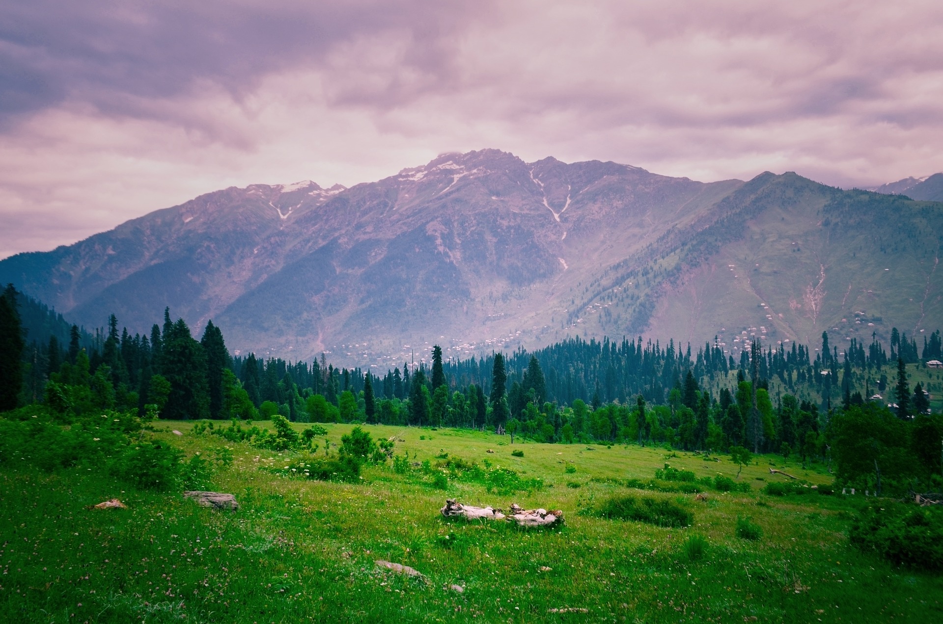 Kashmir